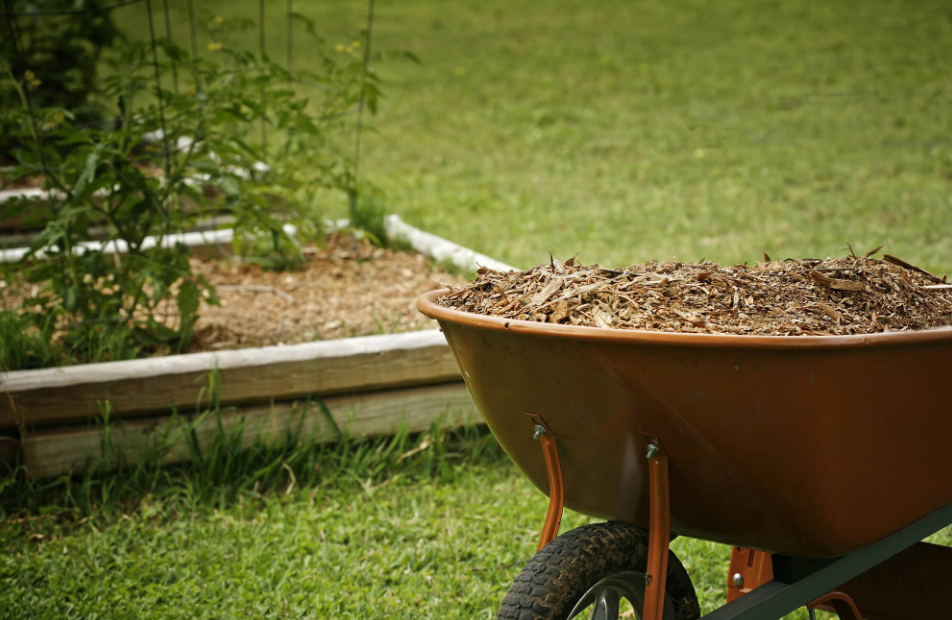 garden mulch